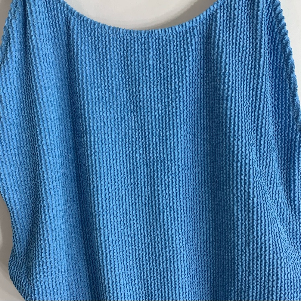 NEW Aerie Shimmery Crinkle Birthday Scoop Cheekiest One Piece Swimsuit, size XL - Picture 9 of 10